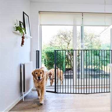 Wide and shop tall dog gates